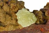 Yellow-Green Austinite Crystal Cluster - Durango, Mexico #154703-1